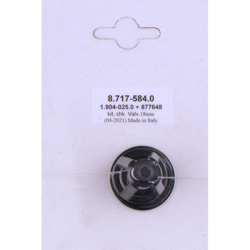 Hotsy Valve Kit